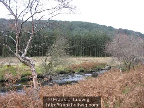 Ladies Brae, Ladies Bray, Ox Mountains